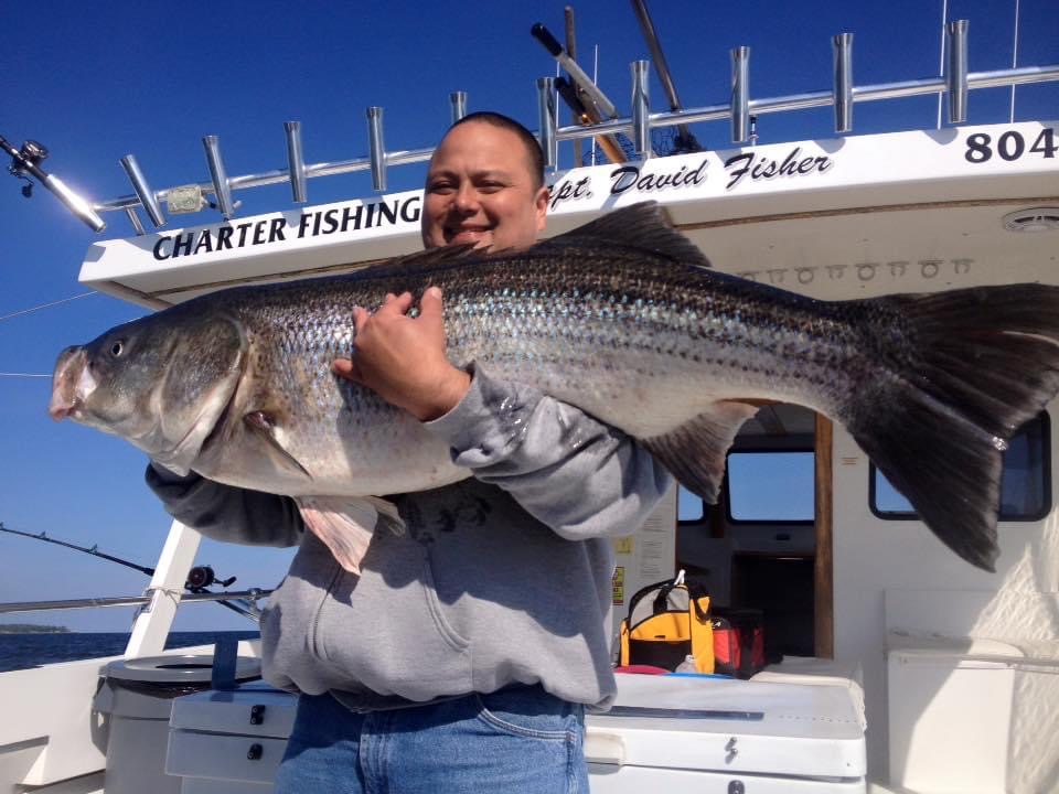 Fishing Charters – CAPTAIN ACTION CHARTERS