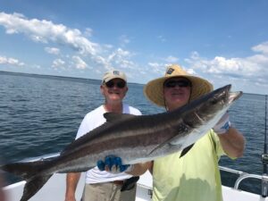 cobia1