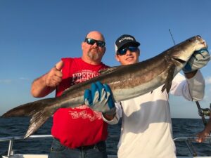 cobia12