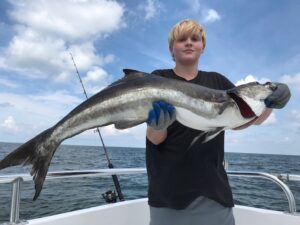 cobia13