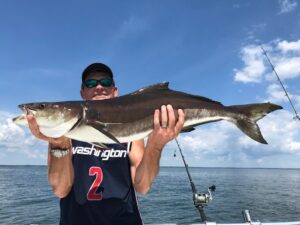 cobia2