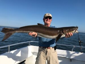 cobia3