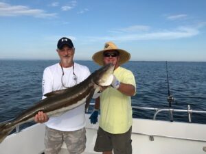 cobia5