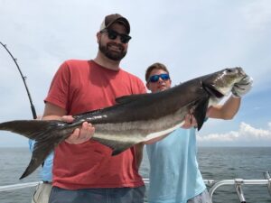 cobia8