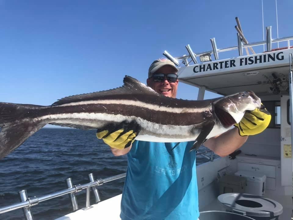 Fishing Charters – CAPTAIN ACTION CHARTERS